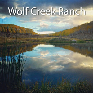 July 10th - Wolf Creek Ranch XC Race (Race 9)